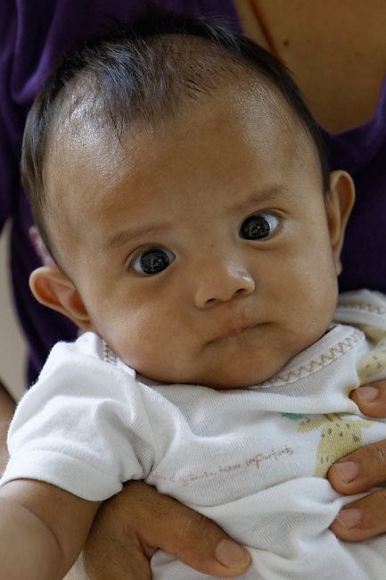 Famille et amis NOV12-078